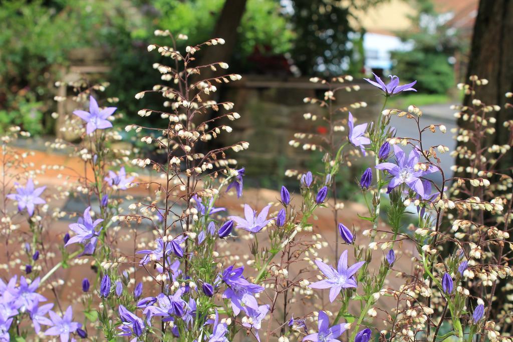Maison Mille Fleurs Sankt Julian Ngoại thất bức ảnh