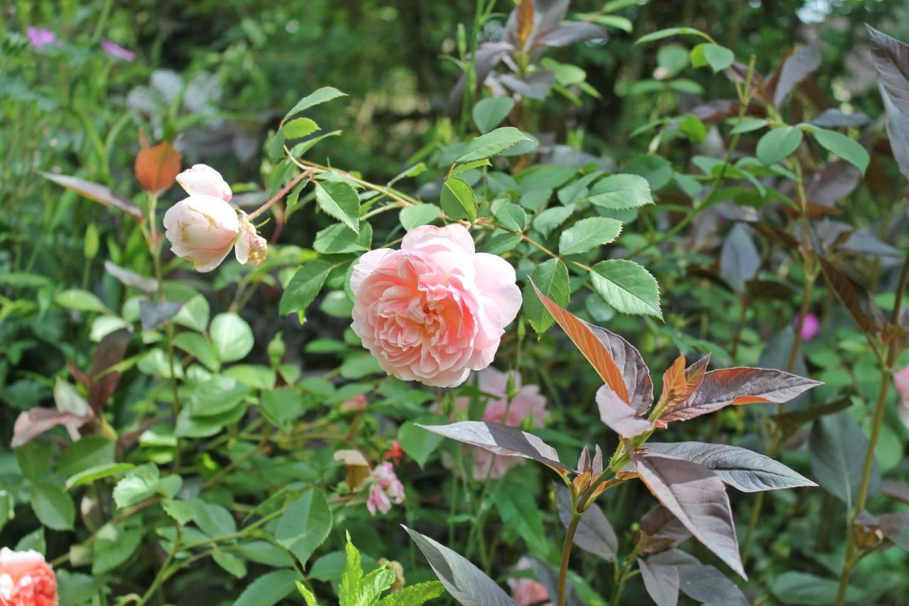 Maison Mille Fleurs Sankt Julian Ngoại thất bức ảnh
